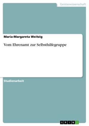 Cover of the book Vom Ehrenamt zur Selbsthilfegruppe by Katrin Schmidt