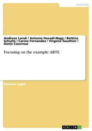 Cover of the book Focusing on the example: ARTE by Erica Turnlund
