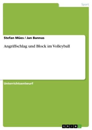 Cover of the book Angriffschlag und Block im Volleyball by Johannes Stockerl