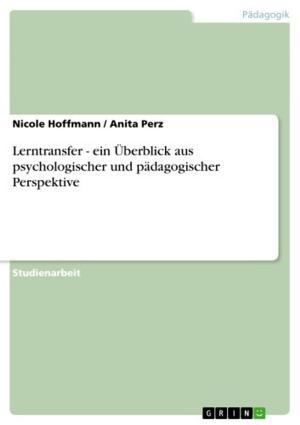 Cover of the book Lerntransfer - ein Überblick aus psychologischer und pädagogischer Perspektive by Stefan Ruhnke