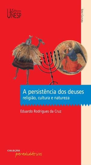 Cover of the book A persistência dos deuses by Fábio Marques Mendes