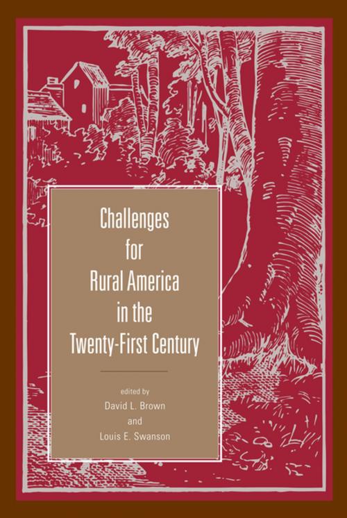 Cover of the book Challenges for Rural America in the Twenty-First Century by , Penn State University Press