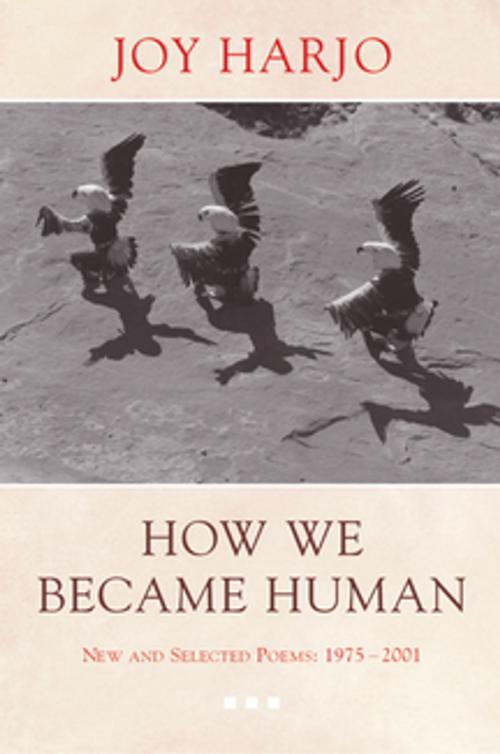 Cover of the book How We Became Human: New and Selected Poems 1975-2002 by Joy Harjo, W. W. Norton & Company