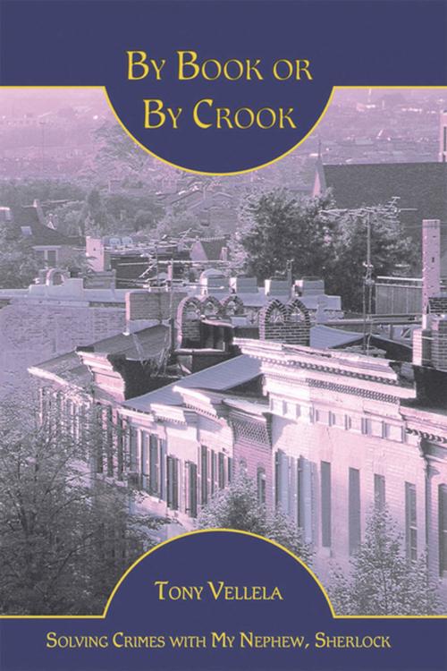 Cover of the book By Book or by Crook by Tony Vellela, iUniverse