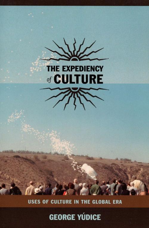 Cover of the book The Expediency of Culture by George Yúdice, Stanley Fish, Fredric Jameson, Duke University Press