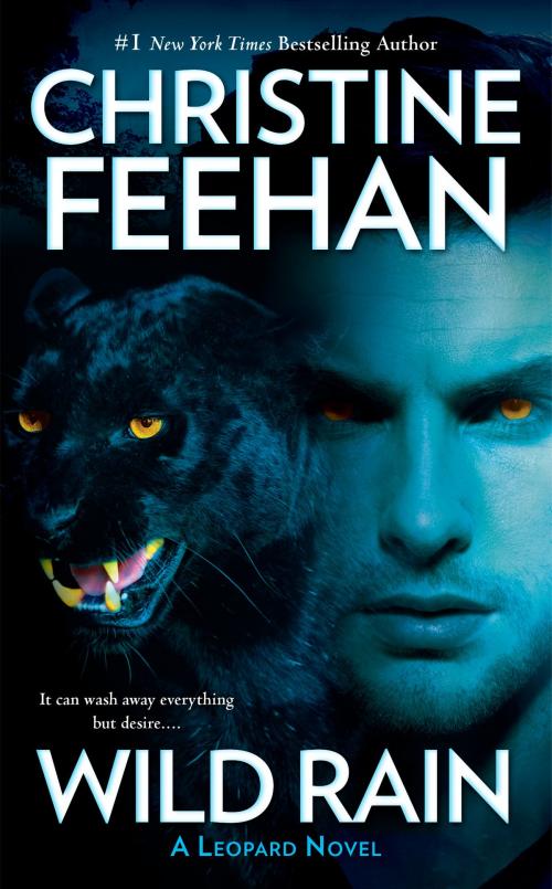 Cover of the book Wild Rain by Christine Feehan, Penguin Publishing Group