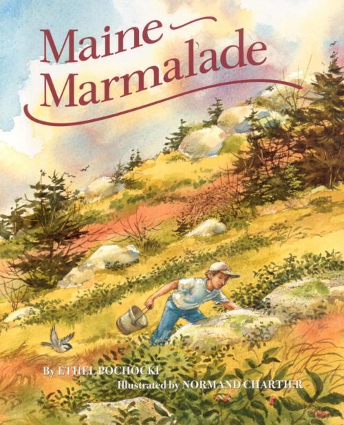 Cover of the book Maine Marmalade by Ethel Pochocki, Down East Books