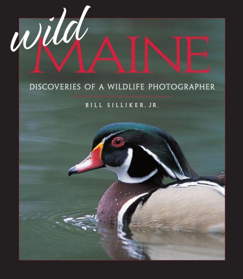 Cover of the book Wild Maine by Bill Silliker Jr., Down East Books