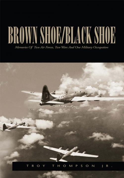 Cover of the book Brown Shoe/Black Shoe by Troy Thompson Jr., Xlibris US