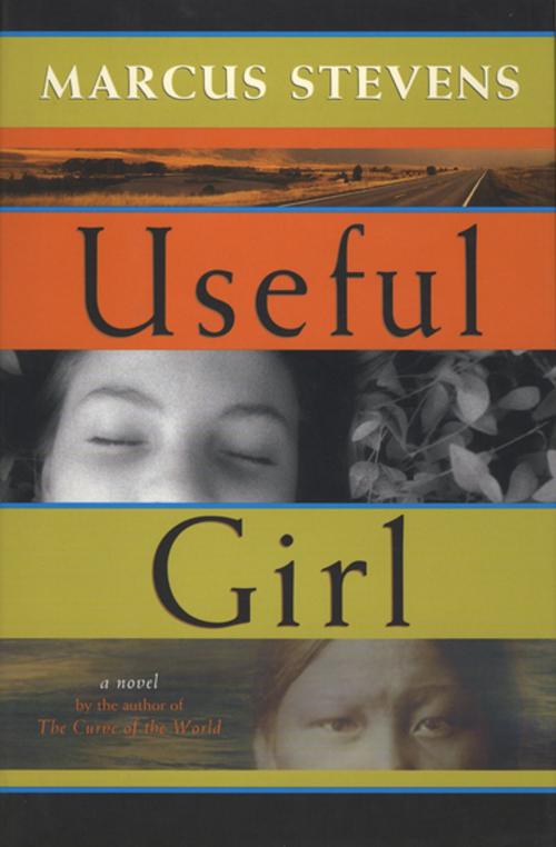 Cover of the book Useful Girl by Marcus Stevens, Workman Publishing