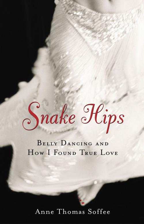 Cover of the book Snake Hips by Anne Thomas Soffee, Chicago Review Press