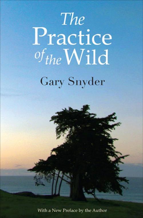 Cover of the book The Practice of the Wild by Gary Snyder, Counterpoint Press