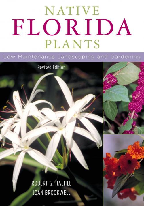 Cover of the book Native Florida Plants by Robert G. Haehle, Joan Brookwell, Taylor Trade Publishing