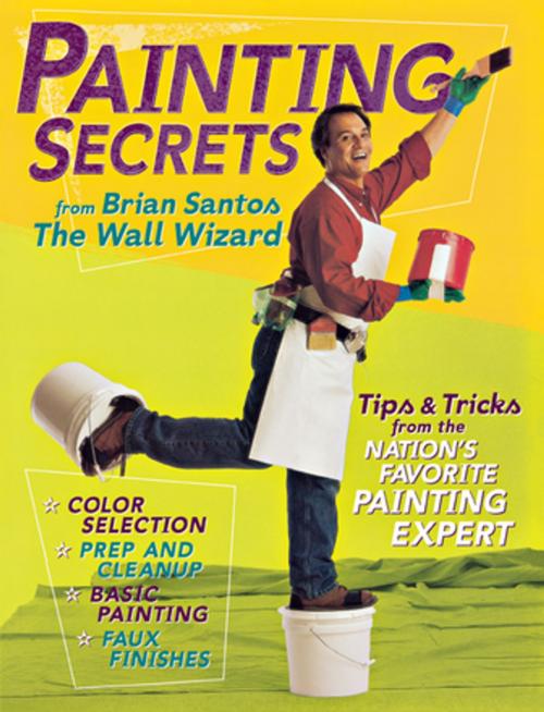 Cover of the book Painting Secrets by Brian Santos, Turner Publishing Company