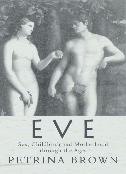 Cover of the book Eve: Sex, Childbirth and Motherhood Through the Ages by Petrina Brown, Summersdale Publishers Ltd