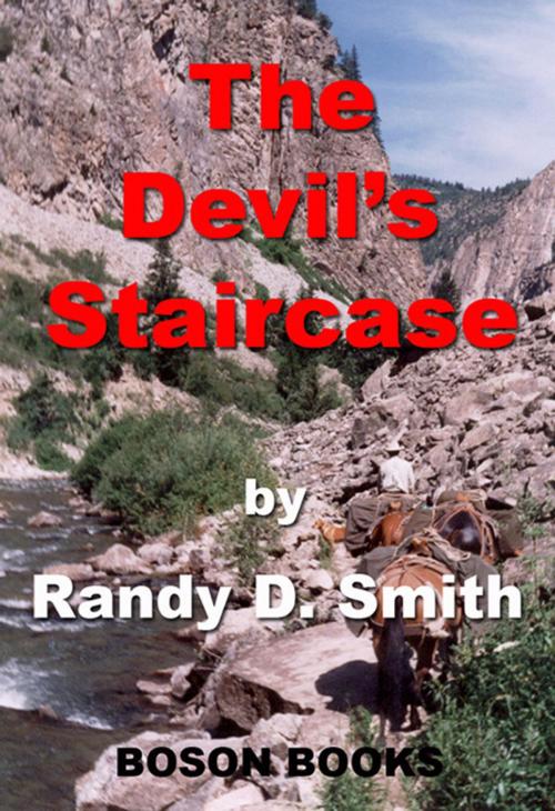 Cover of the book The Devil's Staircase by Randy D.  Smith, Bitingduck Press
