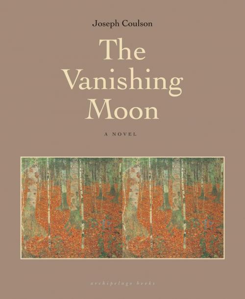 Cover of the book The Vanishing Moon by Joseph Coulson, Steerforth Press