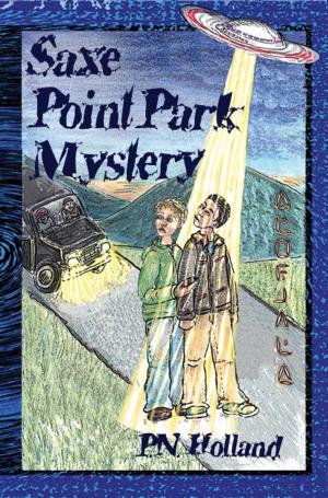 Book cover of Saxe Point Park Mystery