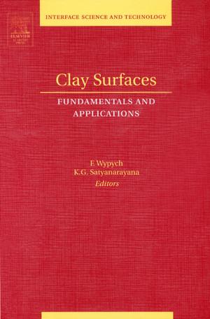 Cover of the book Clay Surfaces by Maria Jose Quintana Hernandez, Jose Antonio Pero-Sanz, Luis Felipe Verdeja