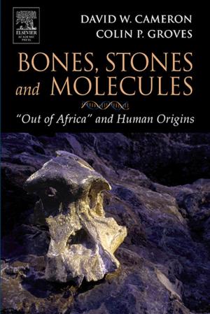 Book cover of Bones, Stones and Molecules