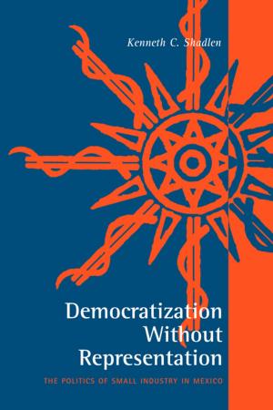 Cover of the book Democratization Without Representation by 