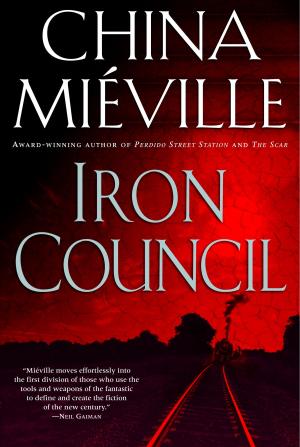 Cover of the book Iron Council by Sarah Schlesinger