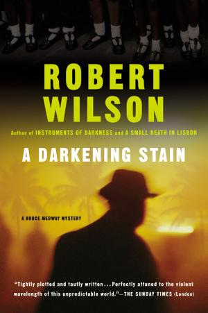 bigCover of the book A Darkening Stain by 