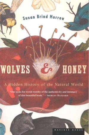 Cover of the book Wolves & Honey by James Owen Weatherall