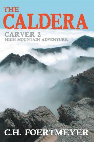 Cover of the book The Caldera by L.A.A. Law