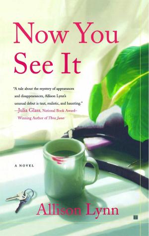 Cover of the book Now You See It by Kyria Abrahams