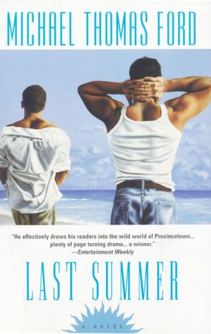 Book cover of Last Summer