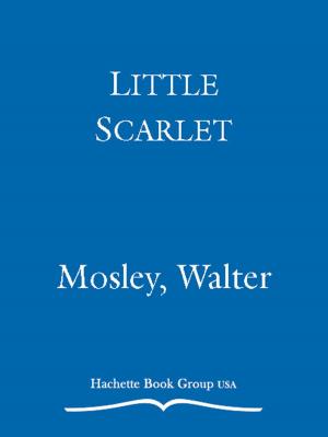 Book cover of Little Scarlet