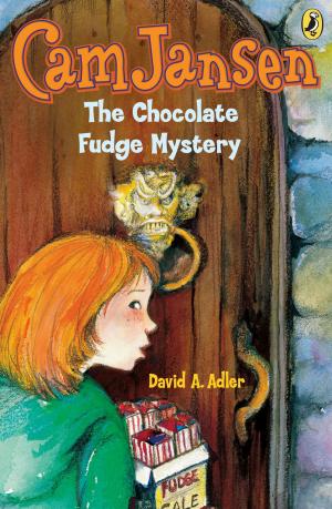 Cover of the book Cam Jansen: The Chocolate Fudge Mystery #14 by Richard Peck