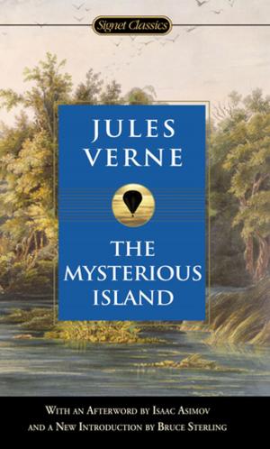 Cover of the book The Mysterious Island by Monica Ferris