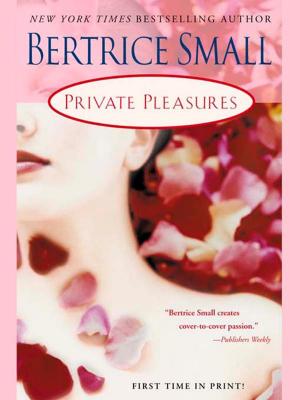 Cover of the book Private Pleasures by Rhonda Britten