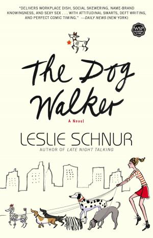 Cover of the book The Dog Walker by Homer