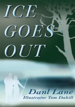 Cover of the book Ice Goes Out by Ikechukwu Odumodu