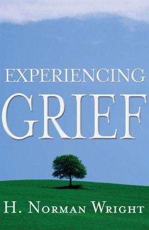 Cover of the book Experiencing Grief by Ken Hemphill, Bobby Eklund, Reggie Kidd, Gary North