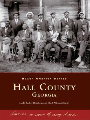 Cover of the book Hall County, Georgia by Cecil W. Jentges