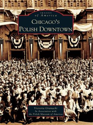 Book cover of Chicago's Polish Downtown