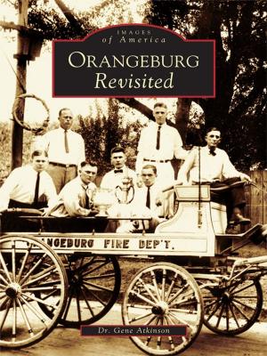 bigCover of the book Orangeburg Revisited by 