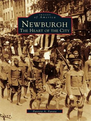 Book cover of Newburgh