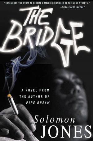 Cover of the book The Bridge by Martin Booth