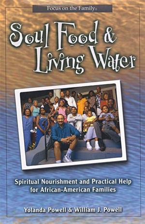 Cover of the book Soul Food And Living Water: Spiritual Nourishment And Practical Help For African American Families by Anderson, MD, Taffy