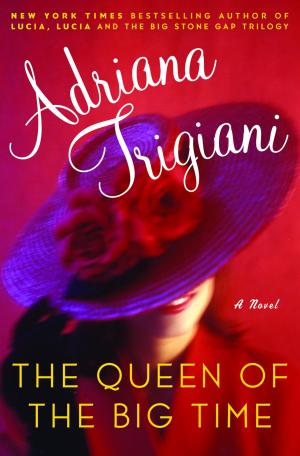 Book cover of The Queen of the Big Time