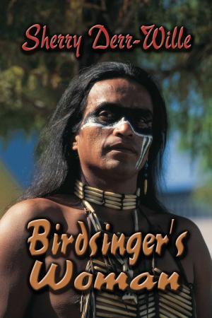 Cover of the book Birdsinger's Woman by Darrel Sparkman