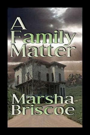 Cover of the book A Family Matter by Caroline Misner