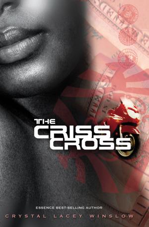 bigCover of the book The Criss Cross by 