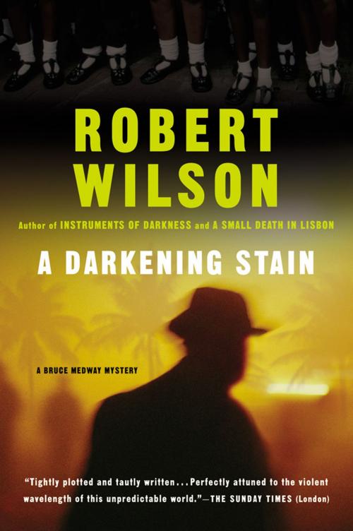 Cover of the book A Darkening Stain by Robert Wilson, HMH Books