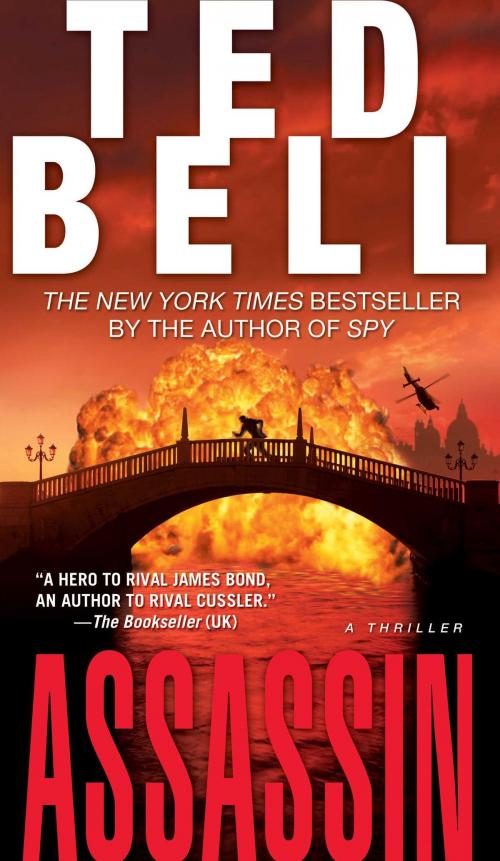 Cover of the book Assassin by Ted Bell, Atria Books
